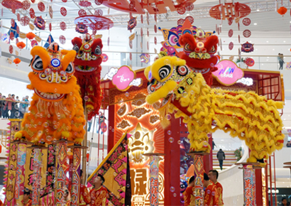 舞龙舞狮 上海舞狮 舞龙 点睛 庆典节目